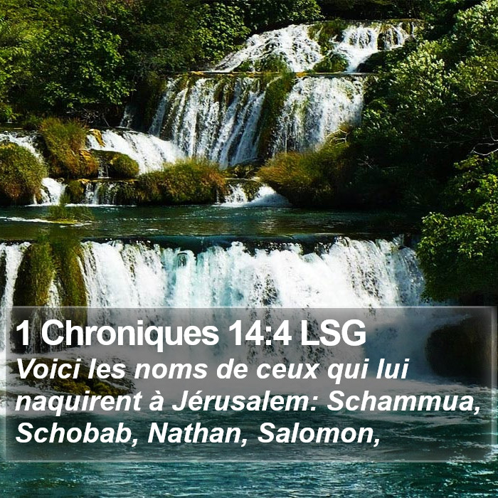 1 Chroniques 14:4 LSG Bible Study