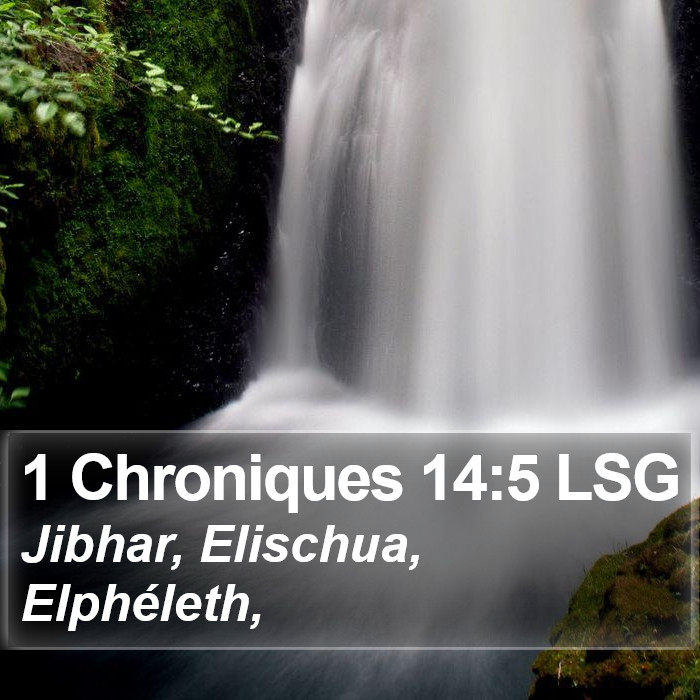 1 Chroniques 14:5 LSG Bible Study