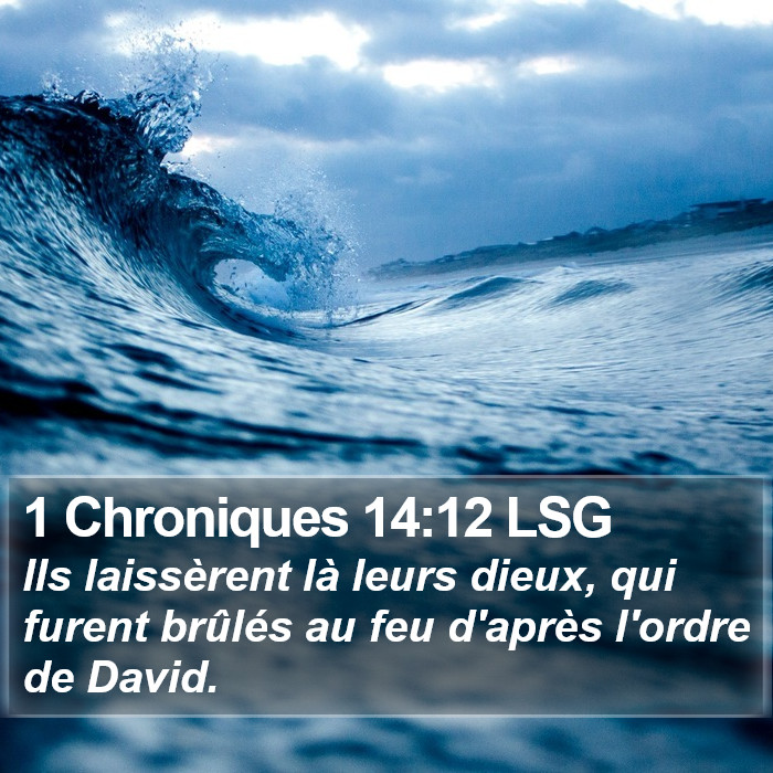 1 Chroniques 14:12 LSG Bible Study