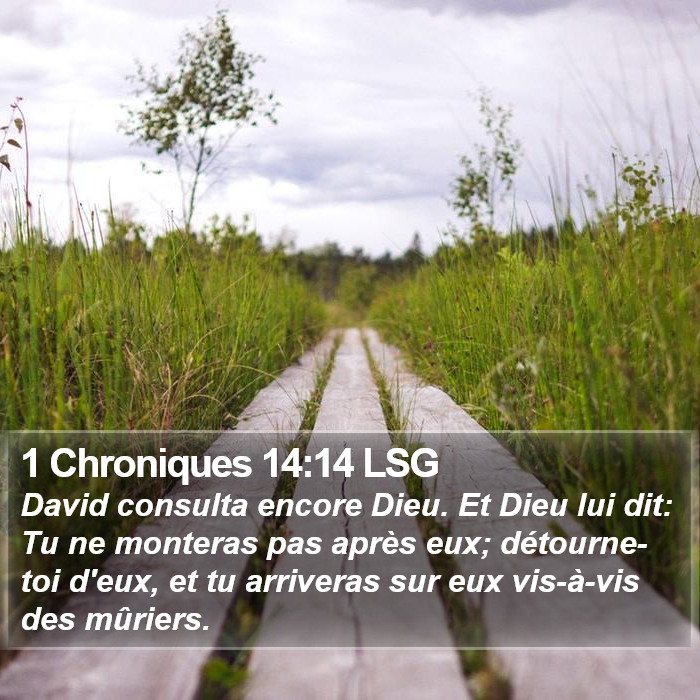 1 Chroniques 14:14 LSG Bible Study