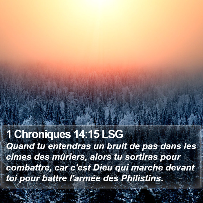 1 Chroniques 14:15 LSG Bible Study