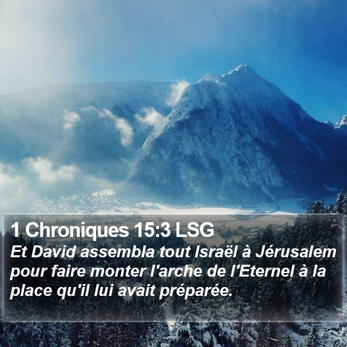 1 Chroniques 15:3 LSG Bible Study