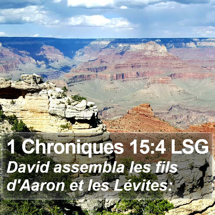 1 Chroniques 15:4 LSG Bible Study