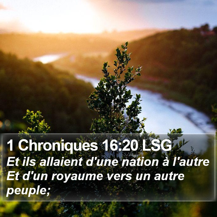 1 Chroniques 16:20 LSG Bible Study