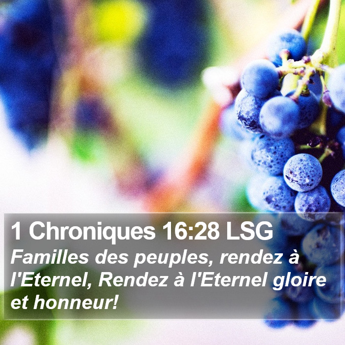 1 Chroniques 16:28 LSG Bible Study