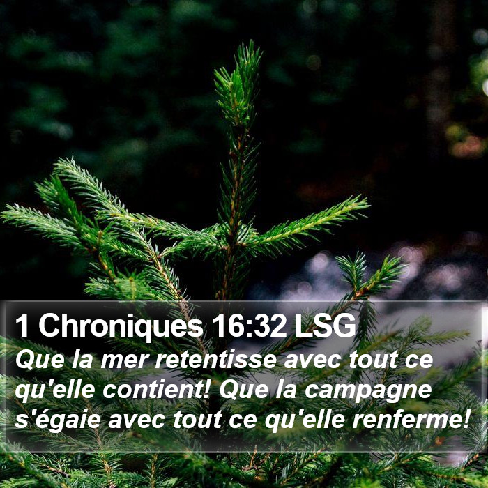 1 Chroniques 16:32 LSG Bible Study