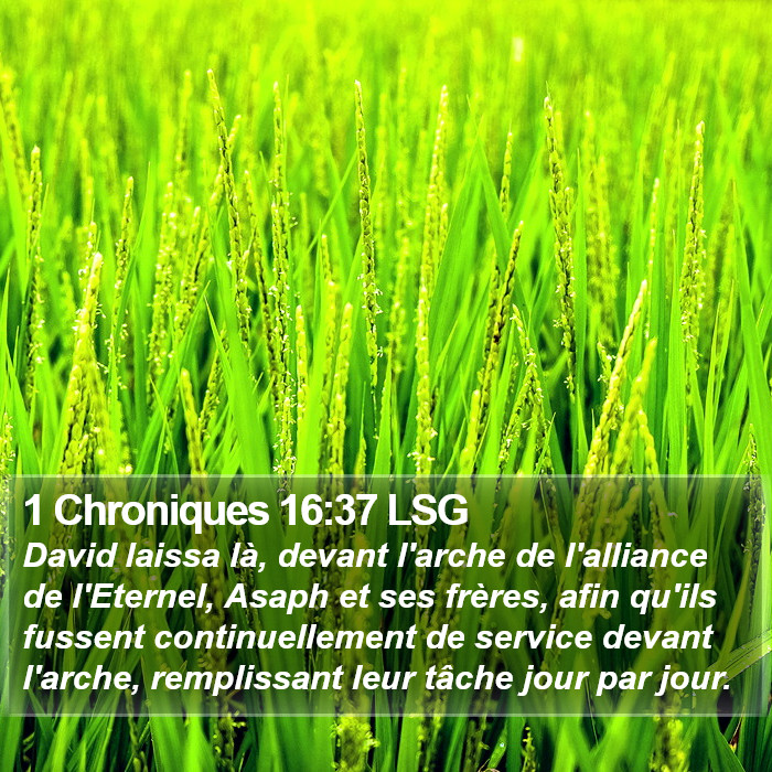 1 Chroniques 16:37 LSG Bible Study