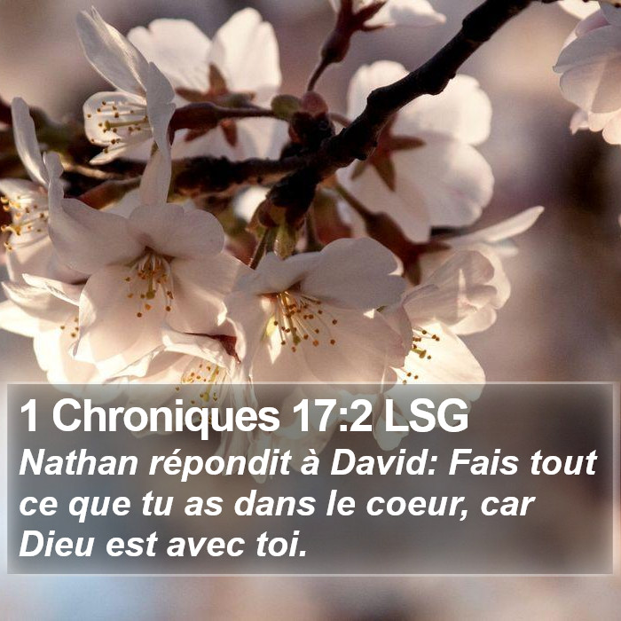 1 Chroniques 17:2 LSG Bible Study