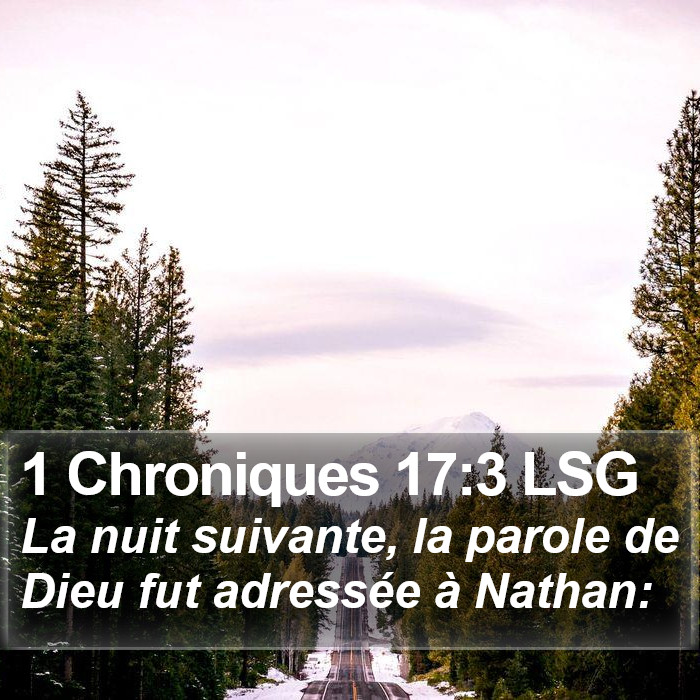 1 Chroniques 17:3 LSG Bible Study