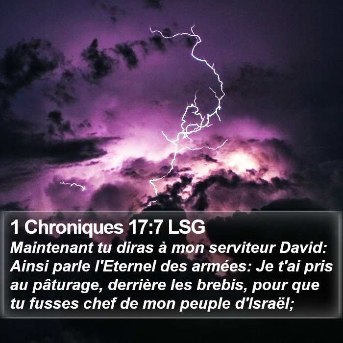 1 Chroniques 17:7 LSG Bible Study