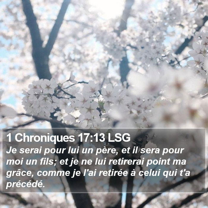 1 Chroniques 17:13 LSG Bible Study