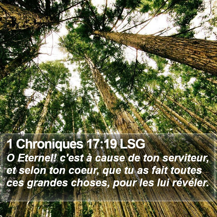 1 Chroniques 17:19 LSG Bible Study