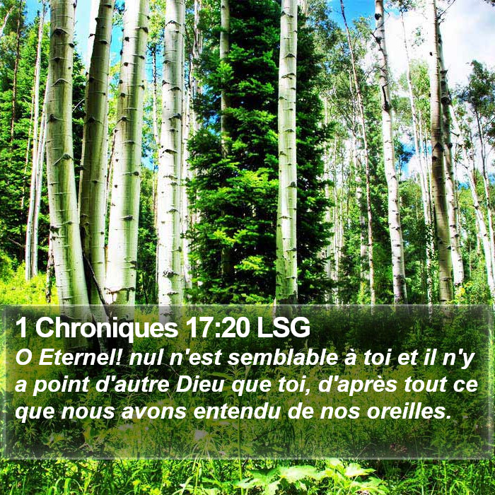 1 Chroniques 17:20 LSG Bible Study