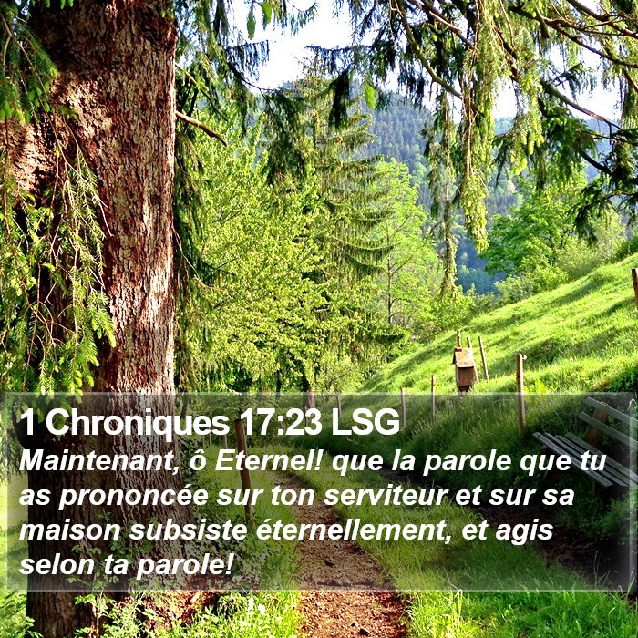 1 Chroniques 17:23 LSG Bible Study