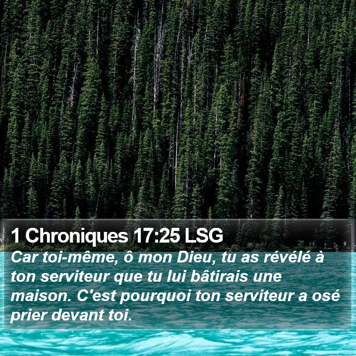 1 Chroniques 17:25 LSG Bible Study