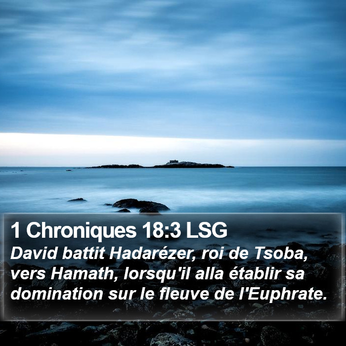 1 Chroniques 18:3 LSG Bible Study