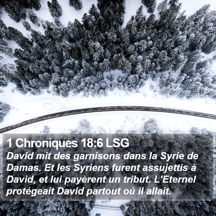 1 Chroniques 18:6 LSG Bible Study