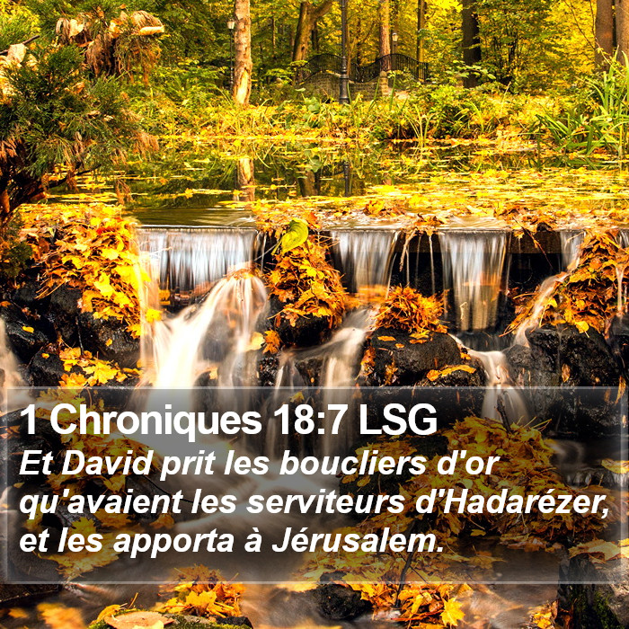 1 Chroniques 18:7 LSG Bible Study