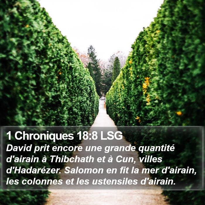 1 Chroniques 18:8 LSG Bible Study