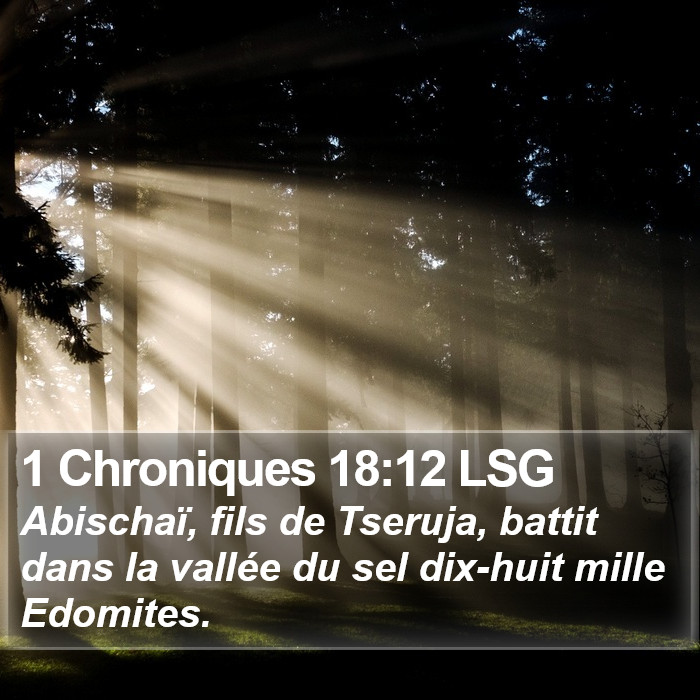 1 Chroniques 18:12 LSG Bible Study