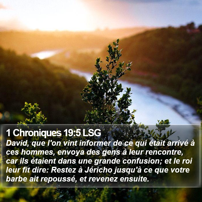 1 Chroniques 19:5 LSG Bible Study