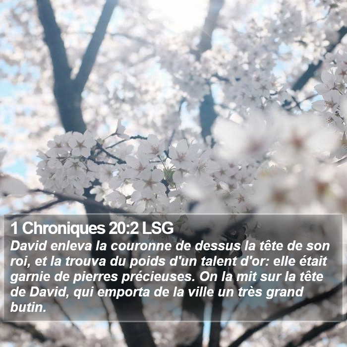 1 Chroniques 20:2 LSG Bible Study