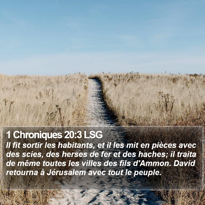 1 Chroniques 20:3 LSG Bible Study