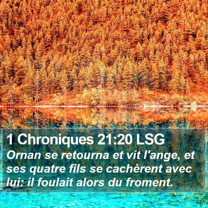 1 Chroniques 21:20 LSG Bible Study
