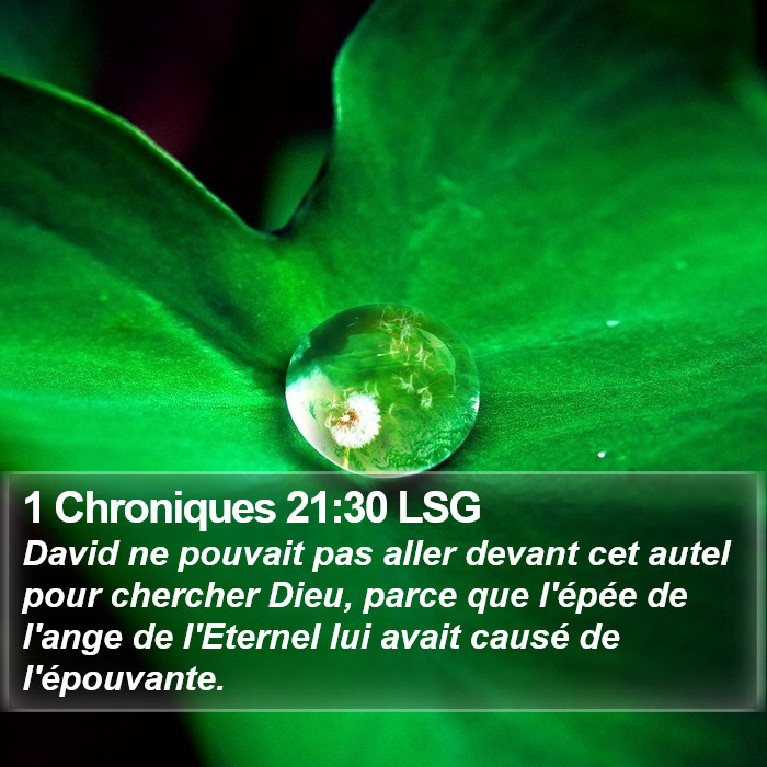 1 Chroniques 21:30 LSG Bible Study