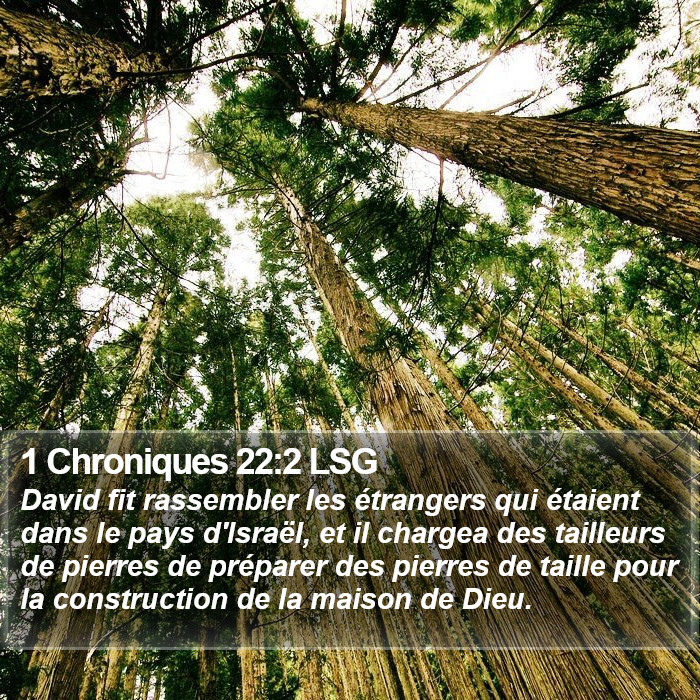 1 Chroniques 22:2 LSG Bible Study