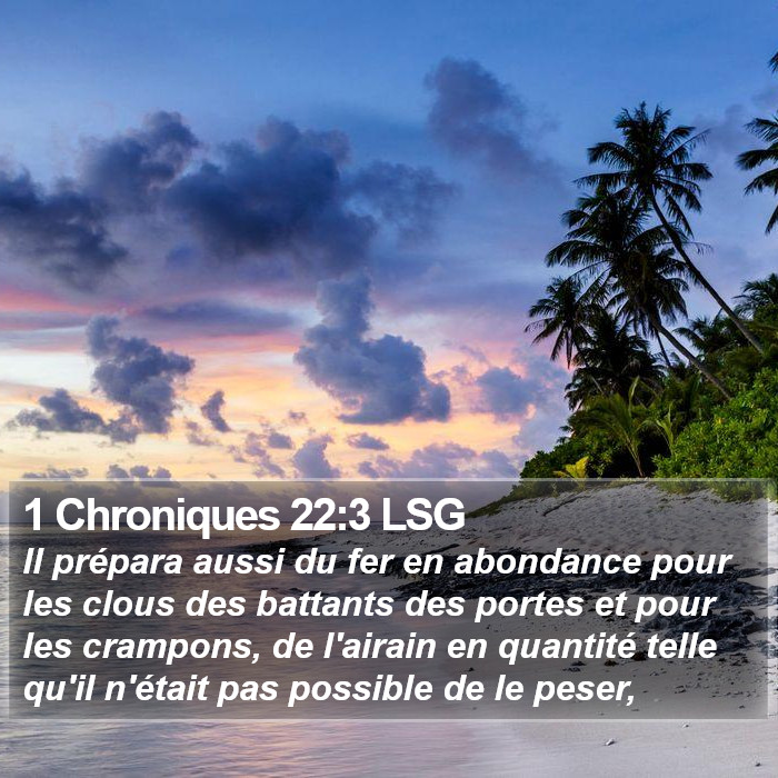 1 Chroniques 22:3 LSG Bible Study