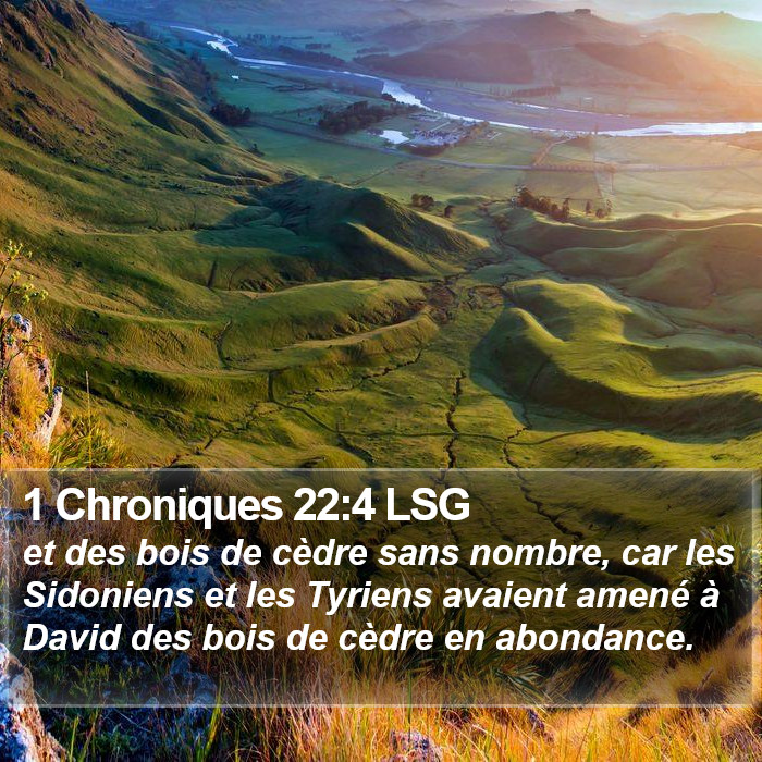 1 Chroniques 22:4 LSG Bible Study
