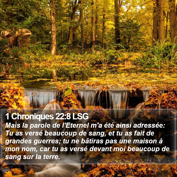 1 Chroniques 22:8 LSG Bible Study