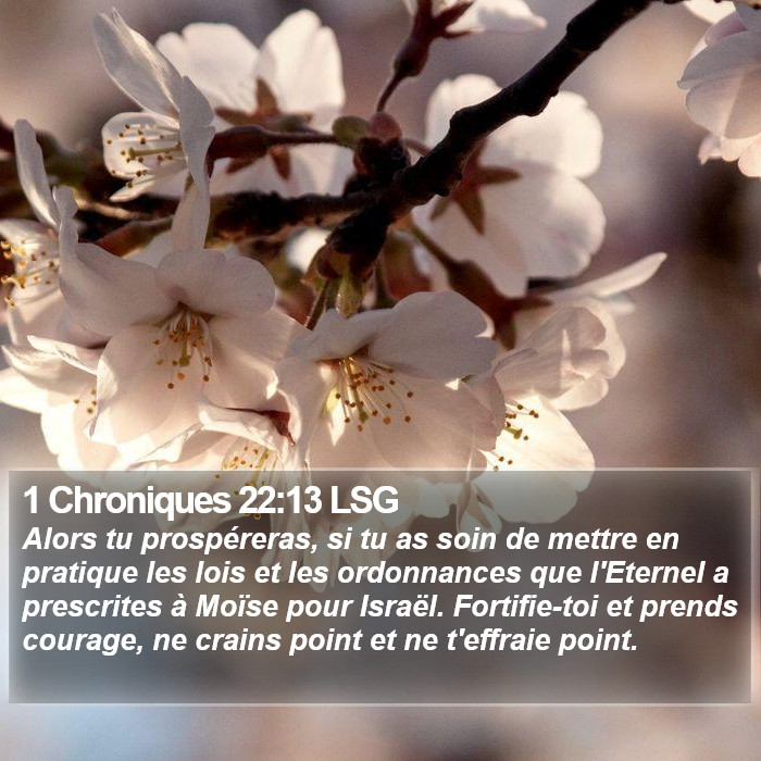 1 Chroniques 22:13 LSG Bible Study