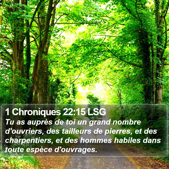 1 Chroniques 22:15 LSG Bible Study
