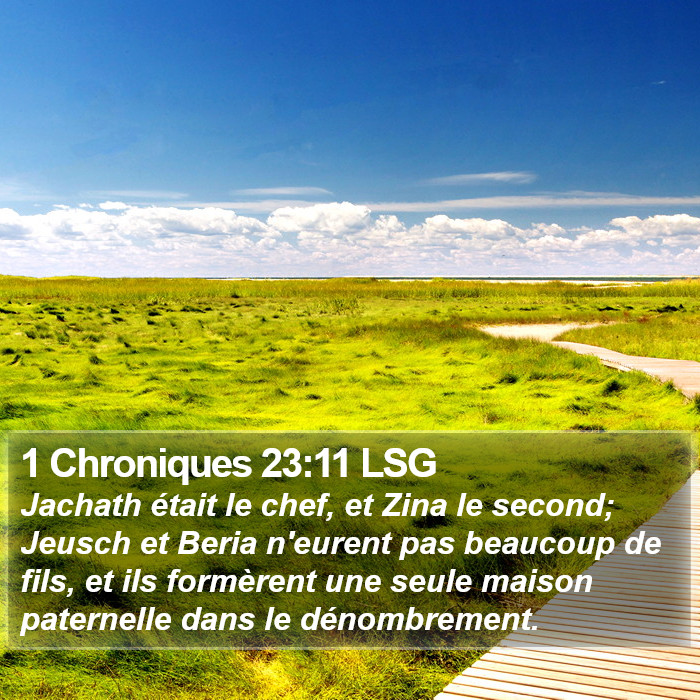 1 Chroniques 23:11 LSG Bible Study