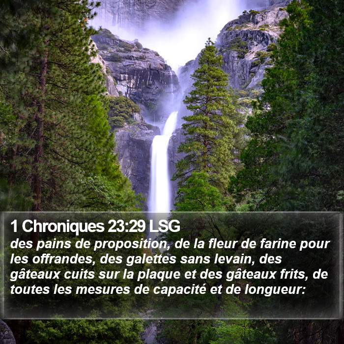 1 Chroniques 23:29 LSG Bible Study