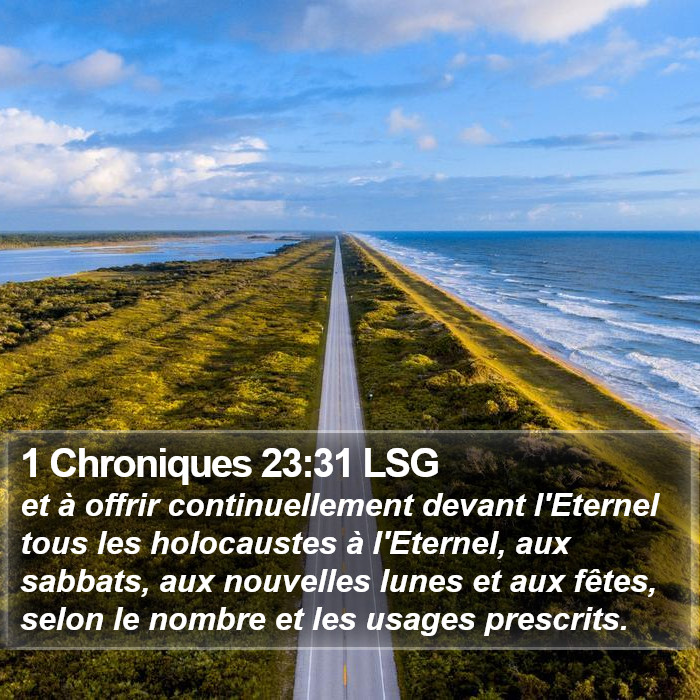 1 Chroniques 23:31 LSG Bible Study