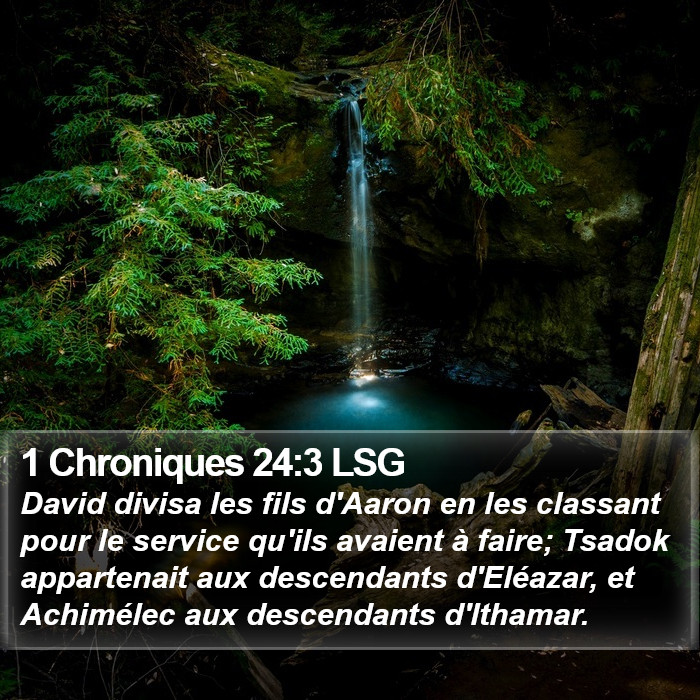 1 Chroniques 24:3 LSG Bible Study