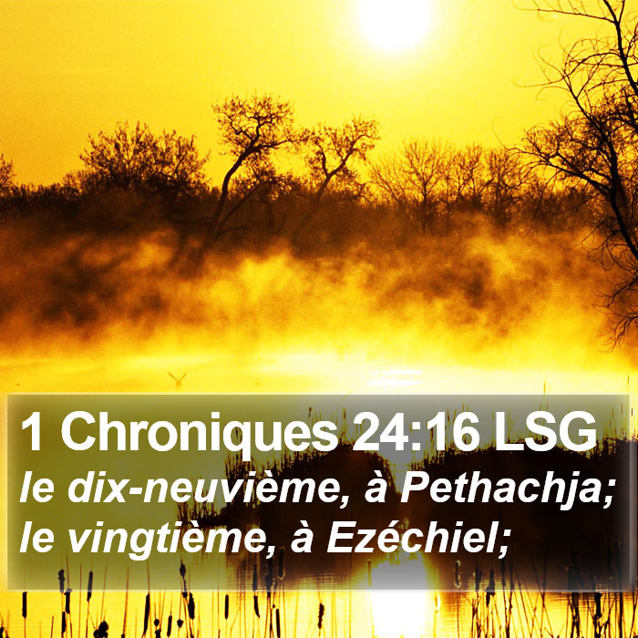 1 Chroniques 24:16 LSG Bible Study
