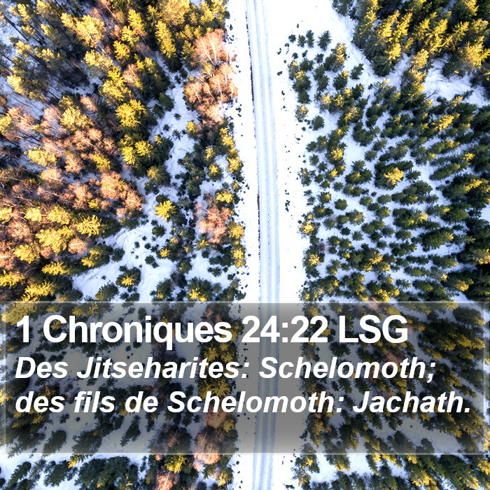 1 Chroniques 24:22 LSG Bible Study