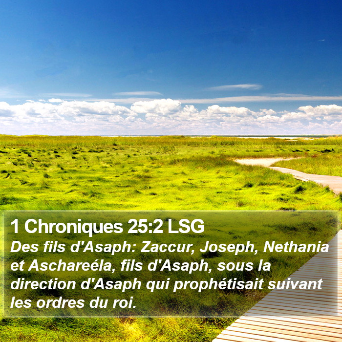 1 Chroniques 25:2 LSG Bible Study