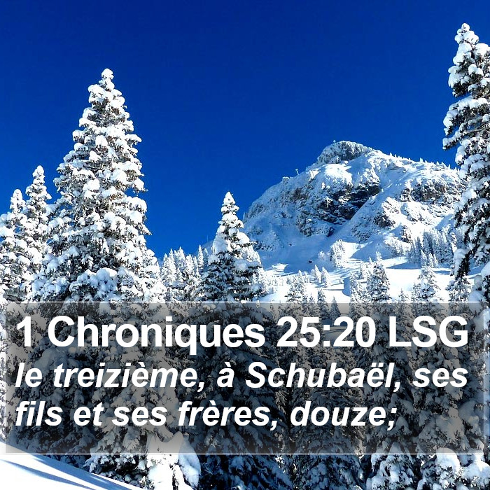 1 Chroniques 25:20 LSG Bible Study