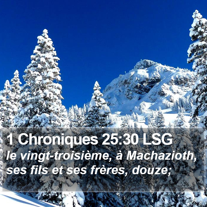 1 Chroniques 25:30 LSG Bible Study