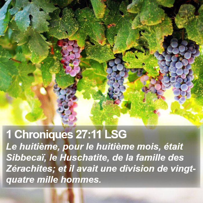 1 Chroniques 27:11 LSG Bible Study