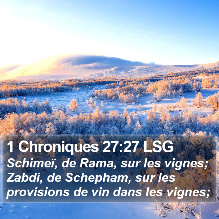 1 Chroniques 27:27 LSG Bible Study