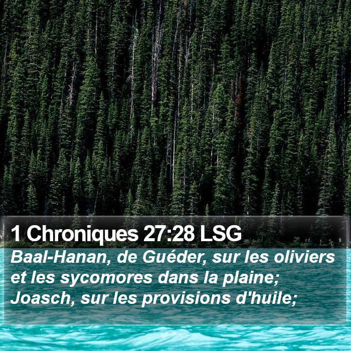 1 Chroniques 27:28 LSG Bible Study