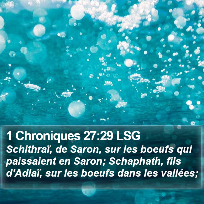 1 Chroniques 27:29 LSG Bible Study