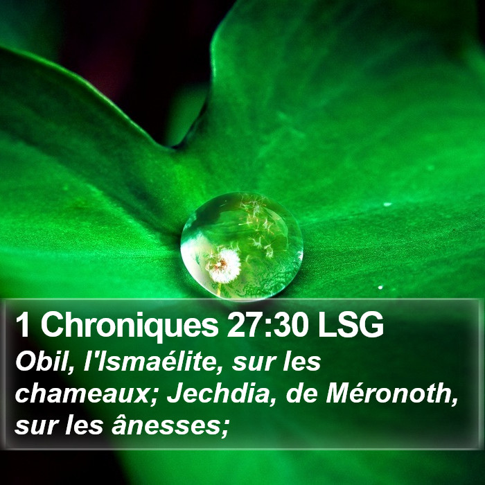 1 Chroniques 27:30 LSG Bible Study