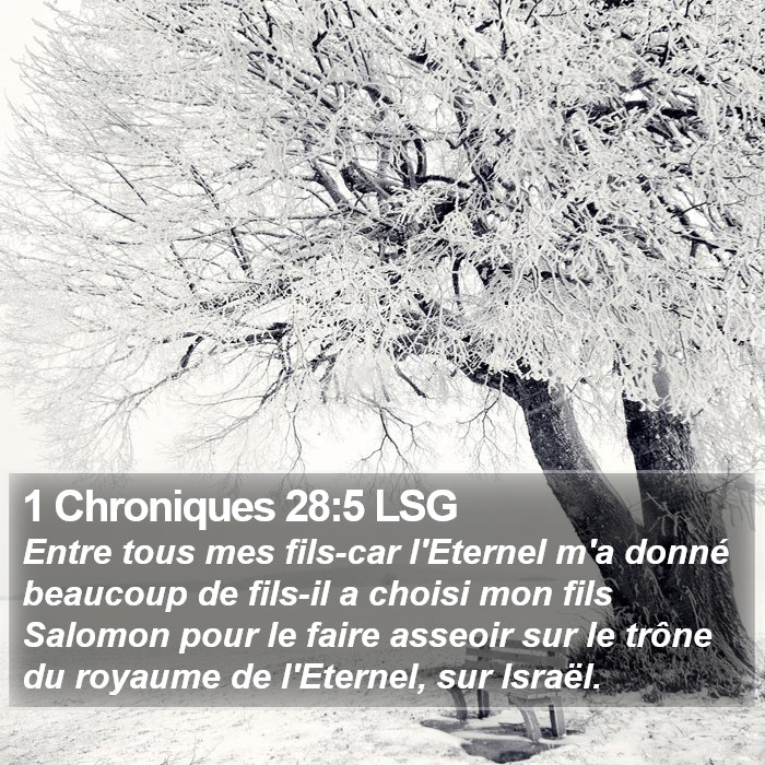 1 Chroniques 28:5 LSG Bible Study